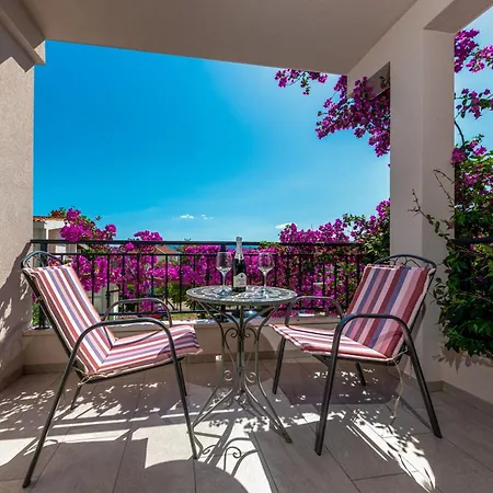 Sokol 公寓 布雷拉