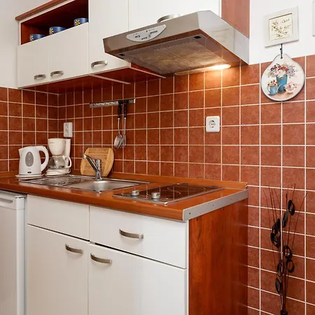 Apartment Sokol *