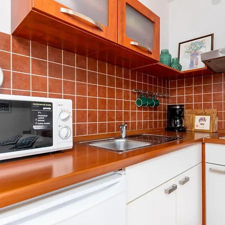 Apartment Sokol